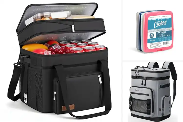 Detailed view of Best Beach Coolers