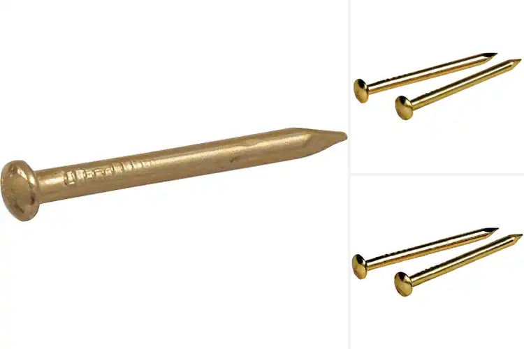 Detailed view of Best Brass Plated Escutcheon Pins