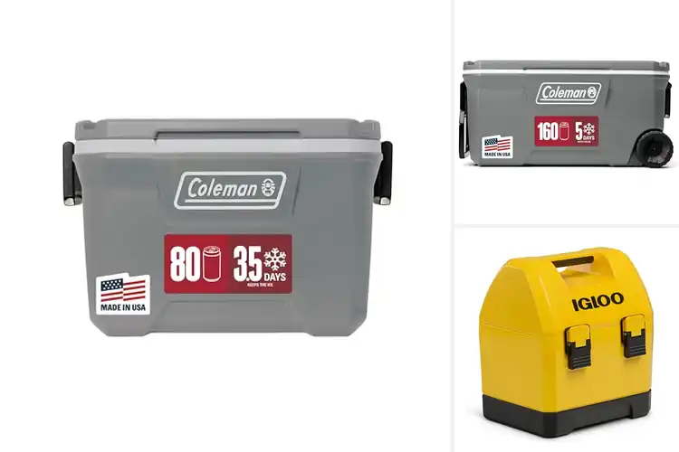 Detailed view of Best Camping Coolers: Top 10 Picks for Fresh Adventures