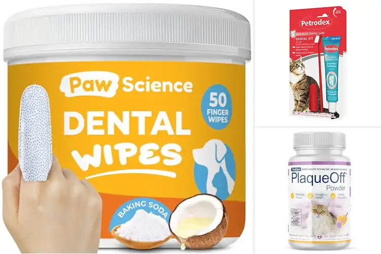 Detailed view of Best Cat Dental Cleaners for Healthy Teeth