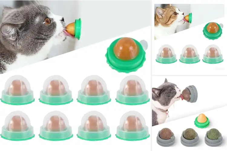 Detailed view of Best Cat Energy Balls: Top 5 Picks for Active, Happy Felines