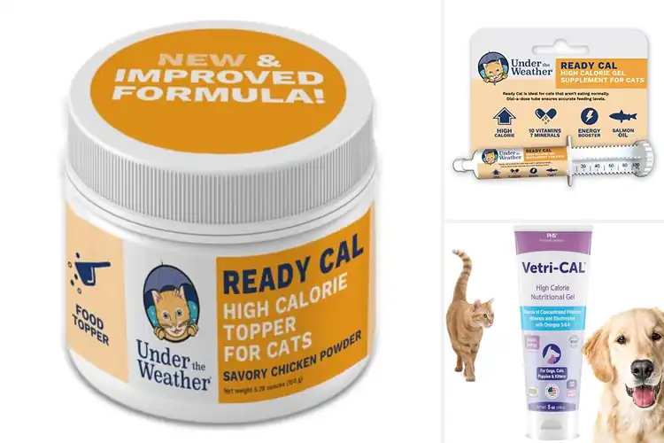 Detailed view of Best Cat Energy Boosters: Revive Your Kitty’s Spark