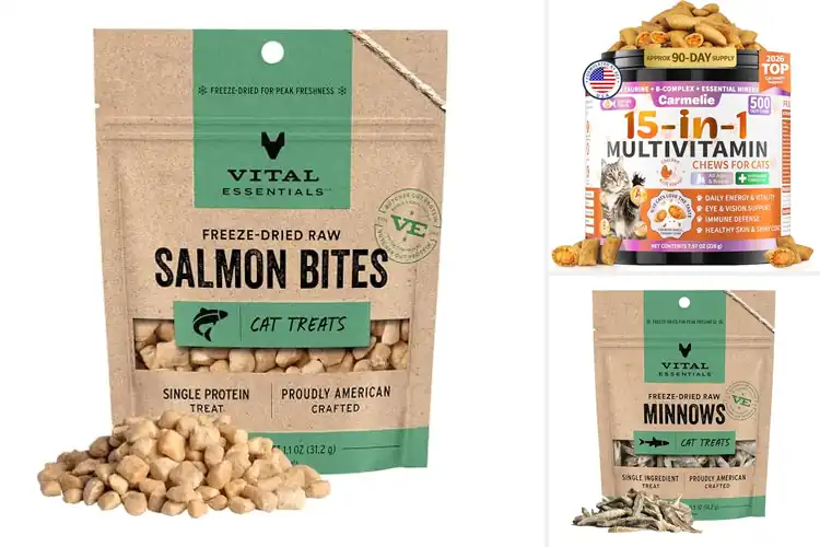 Detailed view of Best Cat Energy Treats to Boost Playfulness & Vitality