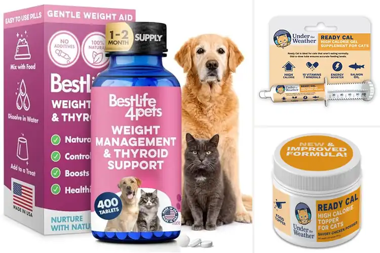 Detailed view of Best Cat Metabolism Boosters: Top 10 for Energy & Weight