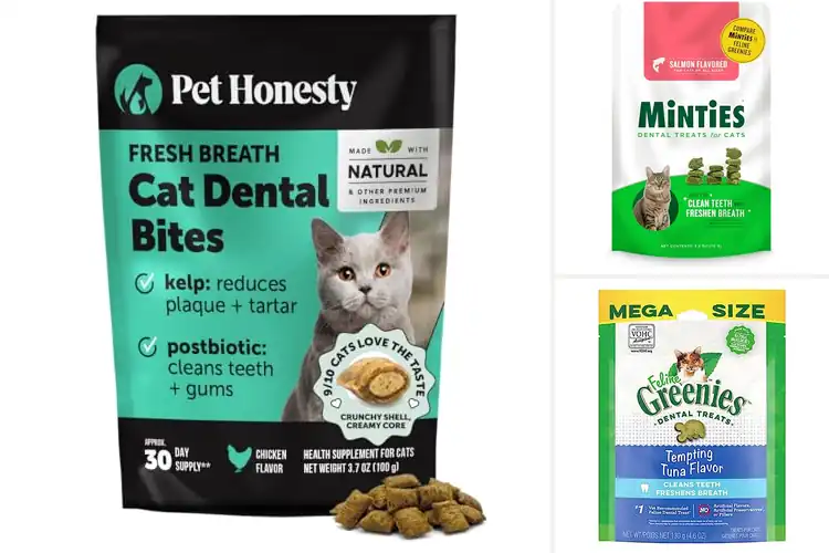 Detailed view of Best Cat Oral Health Chews