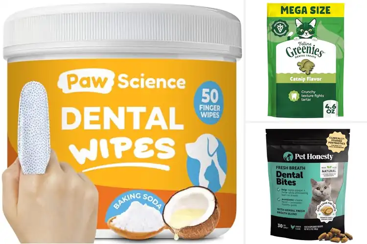 Detailed view of Best Cat Teeth Cleaners for a Healthier, Brighter Smile