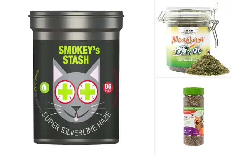 Detailed view of Best Catnip & Silvervine Mixes: Top 10 Joyful Picks