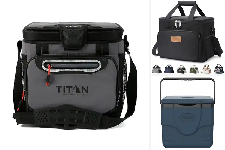 Detailed view of Best Compact Coolers