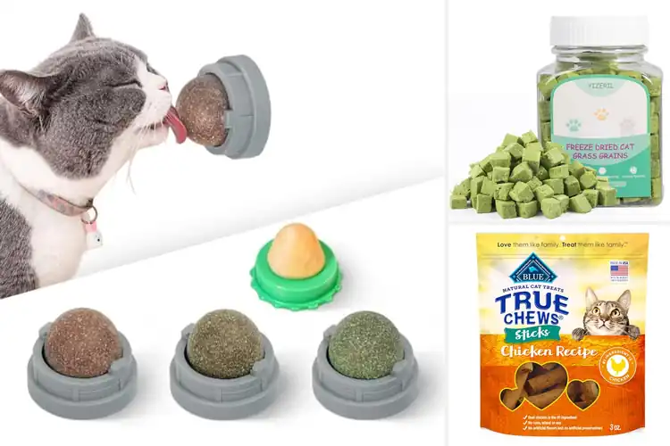 Detailed view of Best Edible Cat Lick Chews