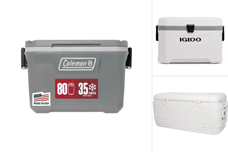 Detailed view of Best Hard Sided Coolers