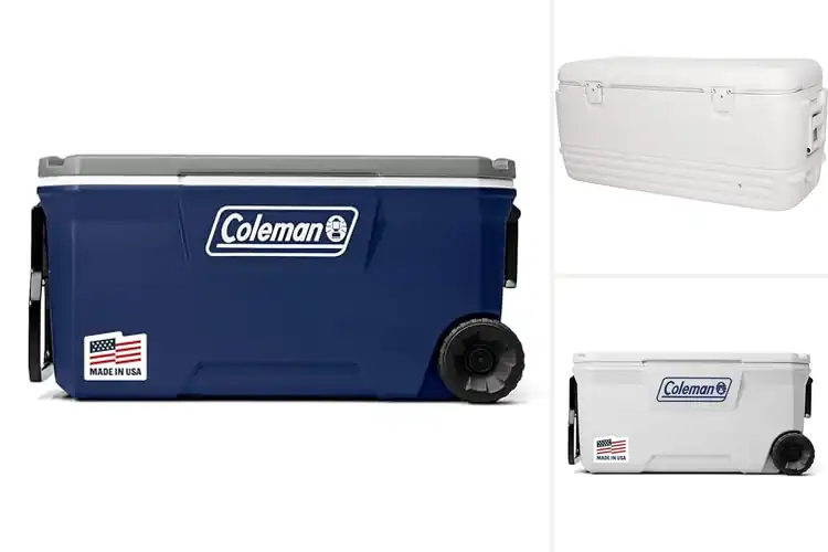 Detailed view of Best Heavy Duty Coolers