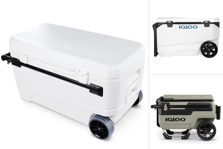 Detailed view of Best Large Capacity Coolers