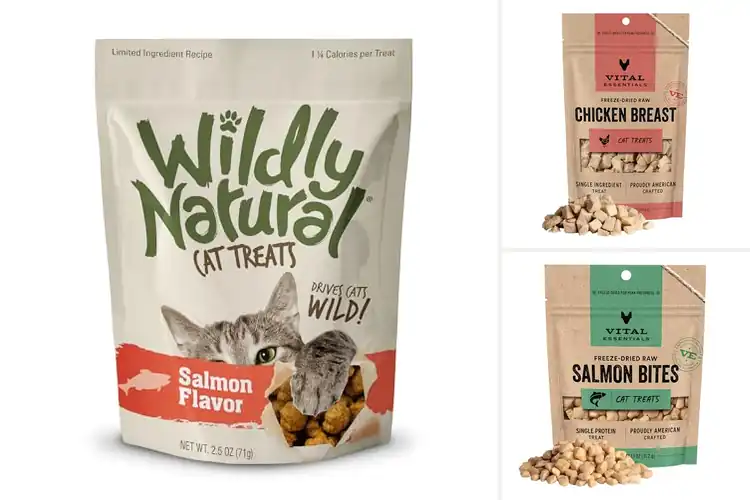 Detailed view of Best Natural Cat Treats