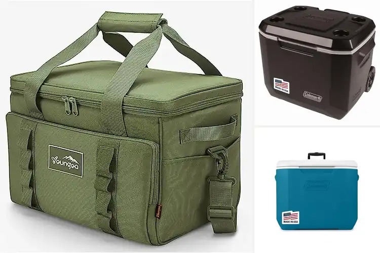 Detailed view of Best Picnic Coolers: Top 10 Picks for Fresh Outdoor Fun