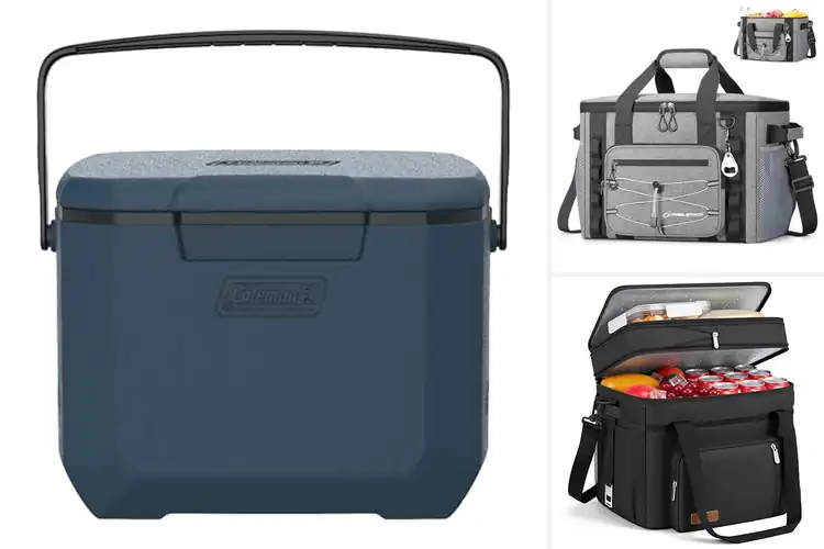 Detailed view of Best Portable Coolers