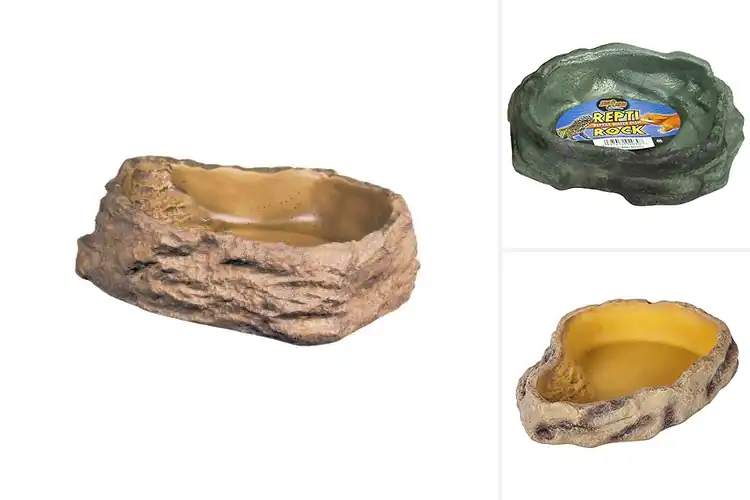 Detailed view of Best Reptile Water Bowls: Top Picks for a Healthy, Happy Pet
