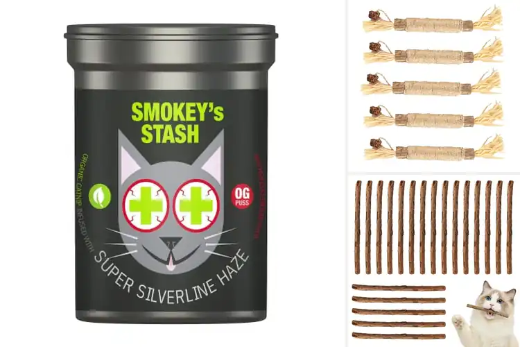 Detailed view of Best Silvervine Treats: 8 Natural Joy Boosters for Cats