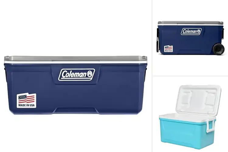 Detailed view of Best Stain Resistant Coolers