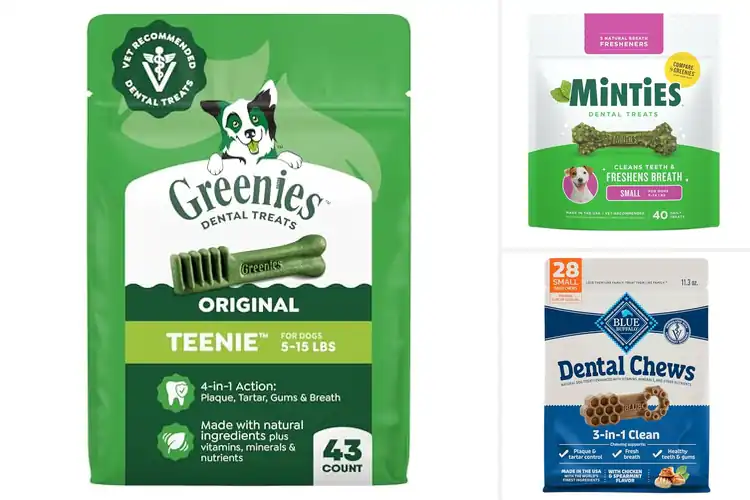Detailed view of Best Teeth Cleaning Treats